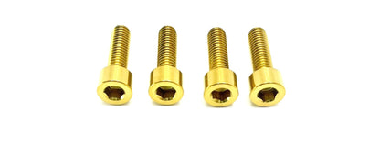 Ultra Bee Fork Titanium Axle Pinch Bolts - Howling Moto