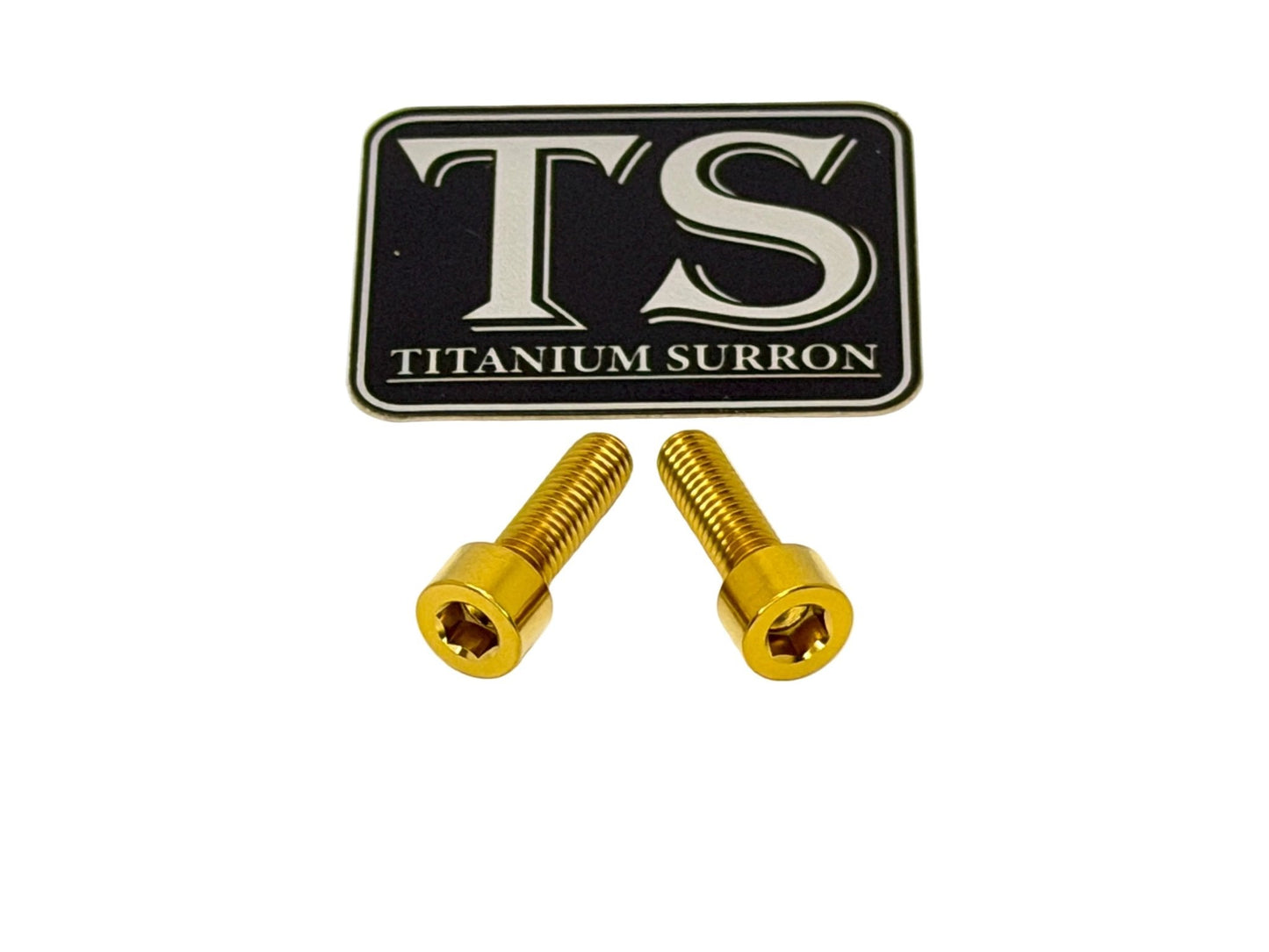 Titanium Surron Ultra Bee Headlight Bracket bolts by Prickly for Baja Squadron