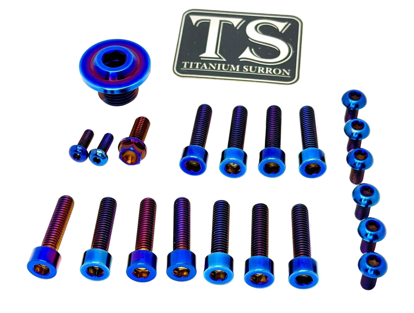 Titanium Surron Ultra Bee OEM Fork Bolt Kit