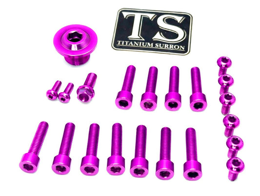 Titanium Surron Ultra Bee OEM Fork Bolt Kit