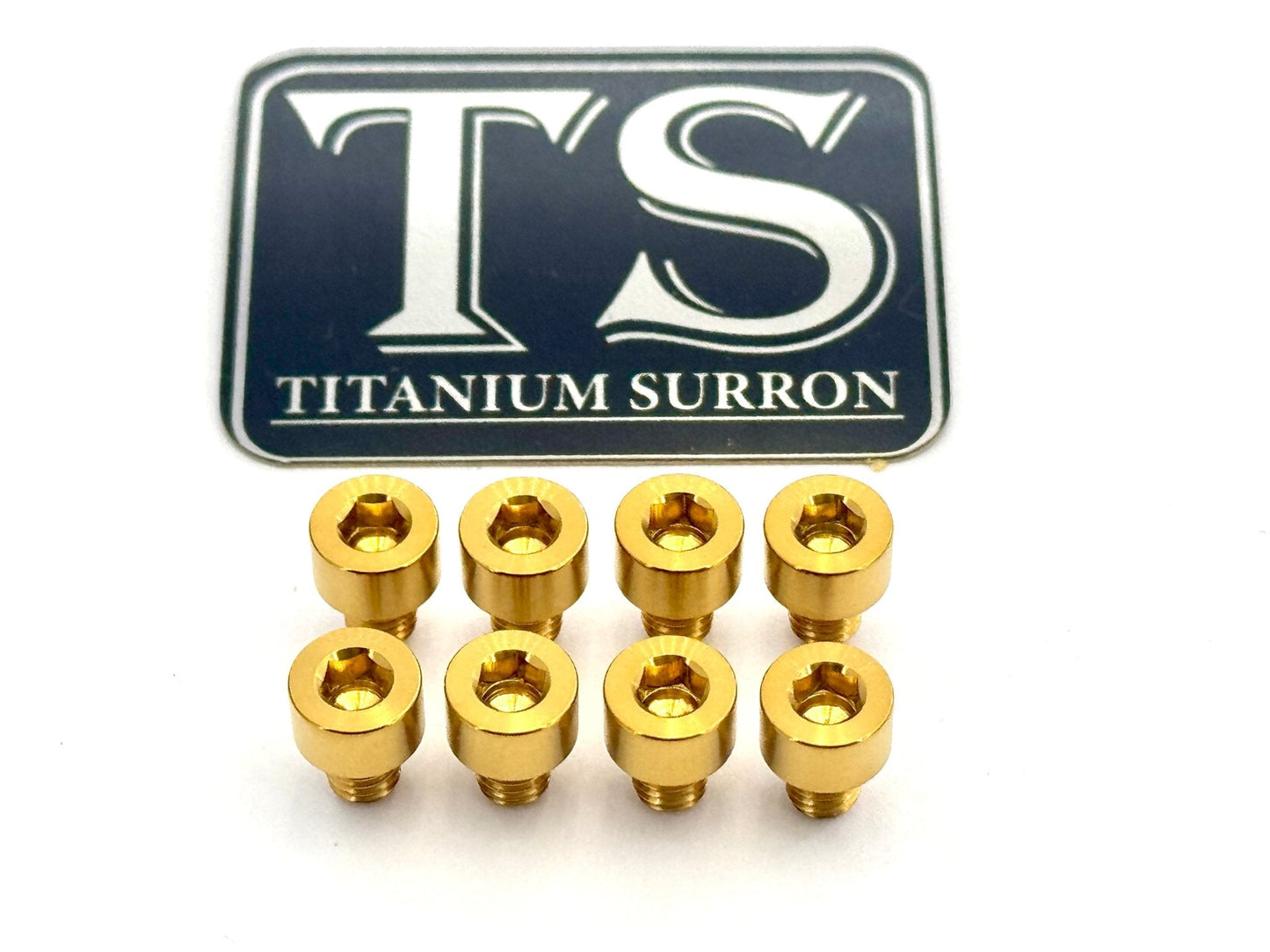 Ventus V9600 Heat Sink Titanium Bolt Kits (8 pcs)