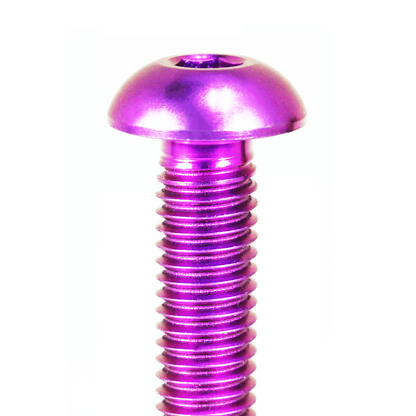ZSPEC Button-Head Body Kit Fastener, M5x25mm w/ Well Nut, Titanium, per Each - Howling Moto