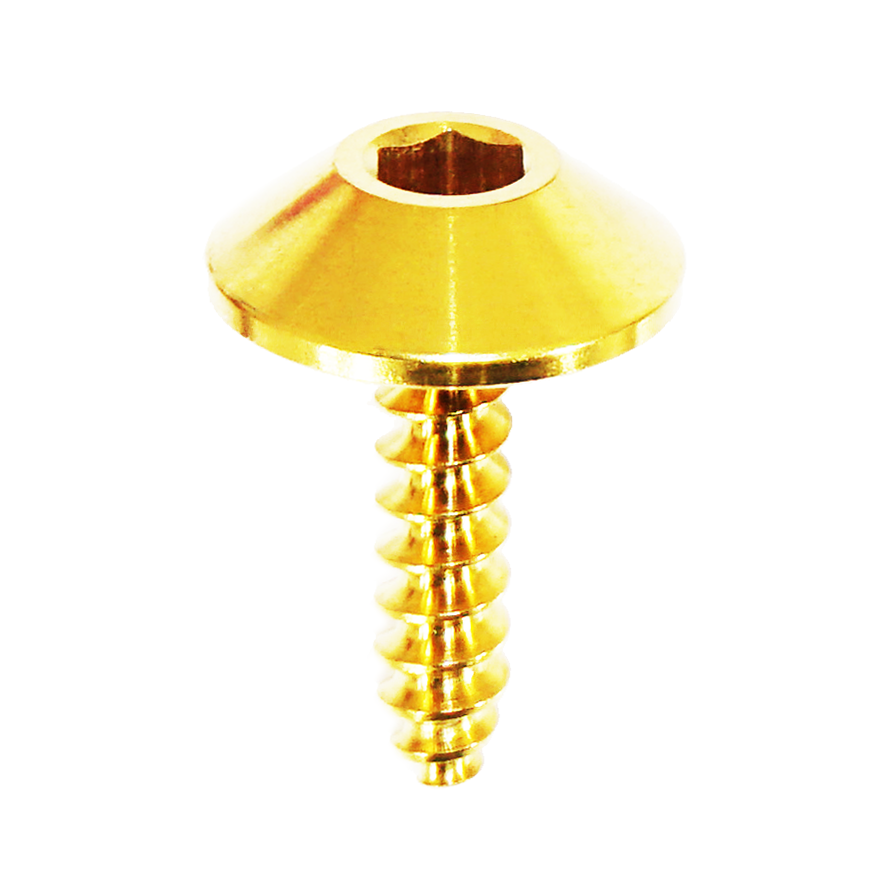ZSPEC Angled Coarse M4x16mm Fastener, Titanium Grade-5, per Each - Howling Moto