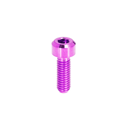 ZSPEC M6-1.0x25mm Titanium Metric SHSC Fasteners/Bolt, Socket Cap, Per Each - Howling Moto