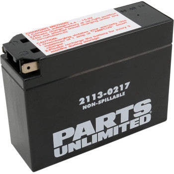 Parts Unlimited Factory-Activated AGM Maintenance-Free Battery - YT4B-BS