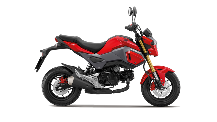 2017 - 2020 Honda Grom OEM Full Color Conversion