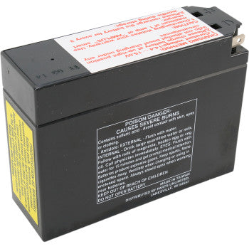 Parts Unlimited Factory-Activated AGM Maintenance-Free Battery - YT4B-BS - Howling Moto
