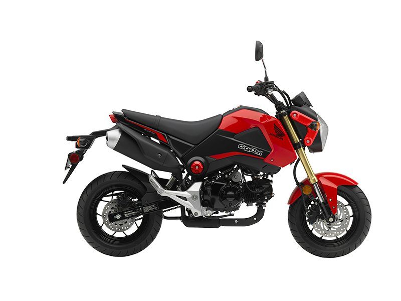 2014 - 2015 Honda Grom Full OEM Color Conversion