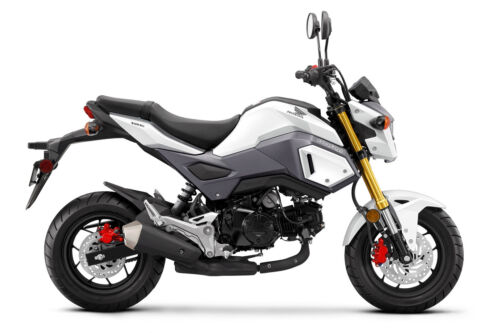 2017 - 2020 Honda Grom OEM Full Color Conversion